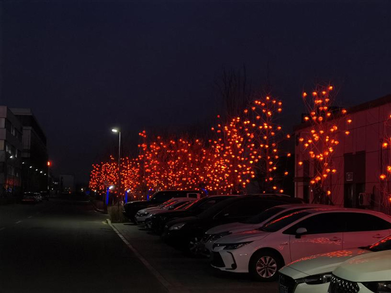 99499威尼斯(中国)有限公司首页